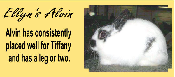 alvin.jpg